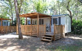 Albatross Mobile Homes On Camping Lacus